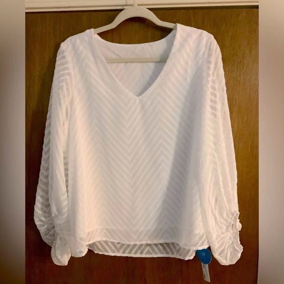 Cupshe Tops - NWT Cupshe Kaleigh Long Sleeve Ruching V-neck Top Small